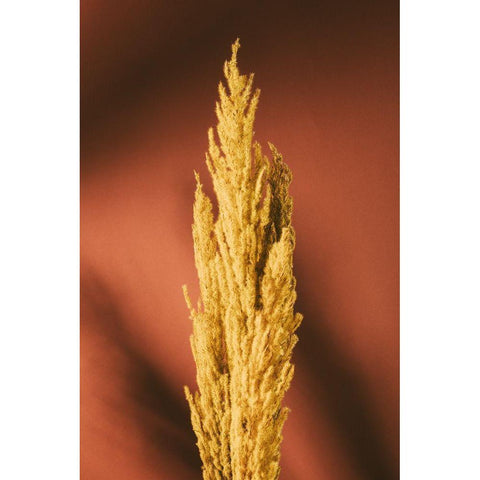 Yellow Grass Rust Black Modern Wood Framed Art Print with Double Matting by 1x Studio III