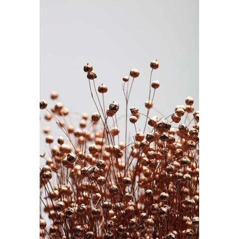 Dried Grass Copper 01 Gold Ornate Wood Framed Art Print with Double Matting by 1x Studio III