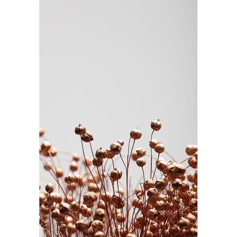 Dried Grass Copper 03 Gold Ornate Wood Framed Art Print with Double Matting by 1x Studio III