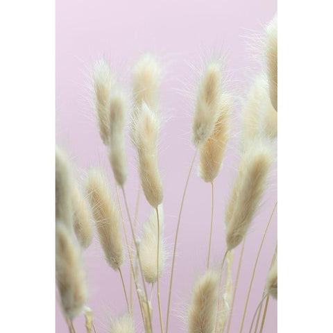 Bunny Grass Pink 01 Gold Ornate Wood Framed Art Print with Double Matting by 1x Studio III