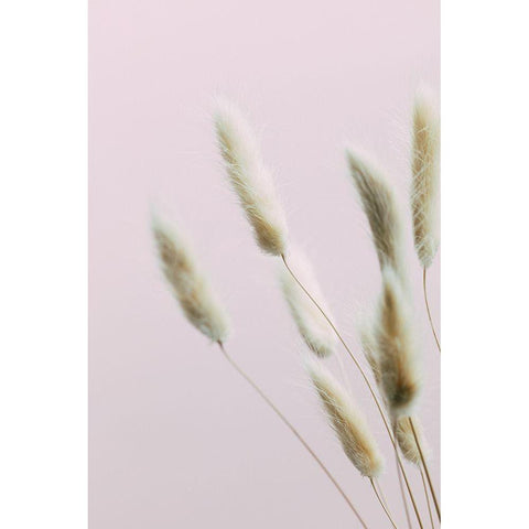 Bunny Grass Pink 02 Black Modern Wood Framed Art Print by 1x Studio III