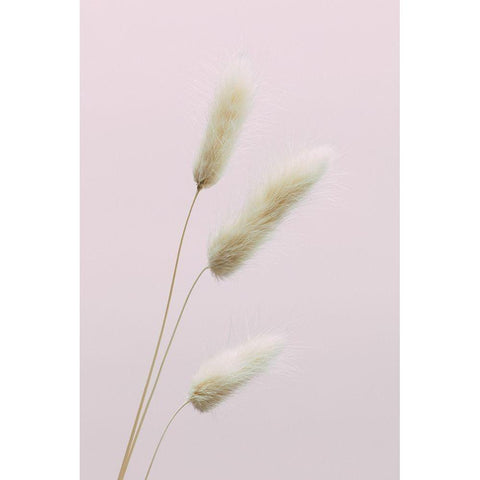 Bunny Grass Pink 03 White Modern Wood Framed Art Print by 1x Studio III