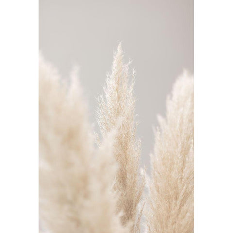 Pampas Grass Grey 04 Gold Ornate Wood Framed Art Print with Double Matting by 1x Studio III