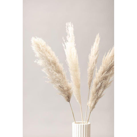 Pampas Grass Grey 05 Black Modern Wood Framed Art Print by 1x Studio III