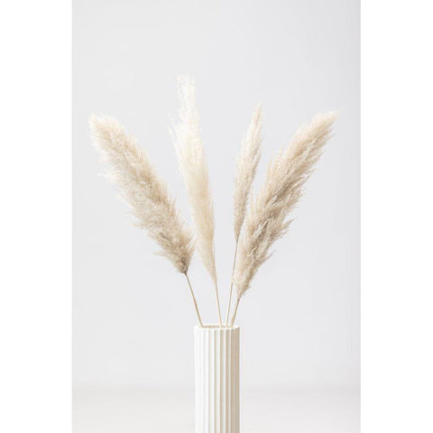 Pampas Grass Grey 09 Black Modern Wood Framed Art Print by 1x Studio III