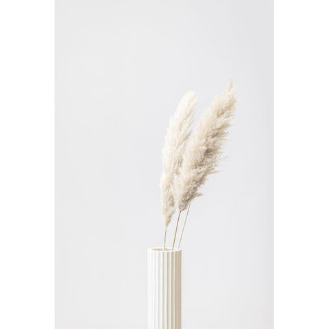 Pampas Grass Grey 10 White Modern Wood Framed Art Print by 1x Studio III