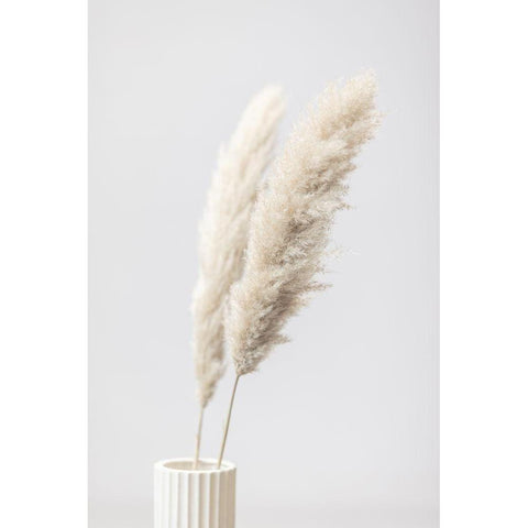 Pampas Grass Grey 11 White Modern Wood Framed Art Print by 1x Studio III