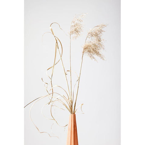 Dried Grass Terracotta Black Modern Wood Framed Art Print by 1x Studio III