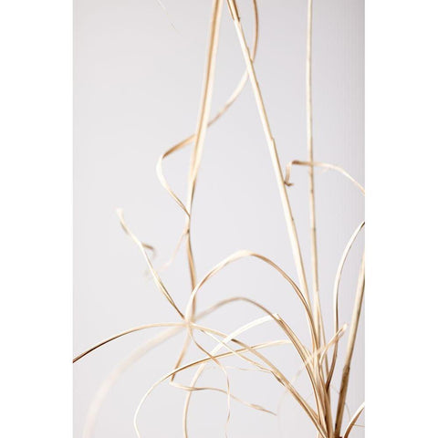 Dried Grass Grey 01 Black Modern Wood Framed Art Print with Double Matting by 1x Studio III