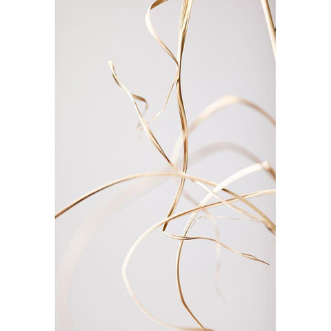 Dried Grass Grey 02 White Modern Wood Framed Art Print by 1x Studio III