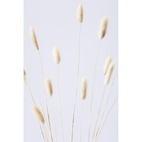 Bunny Grass No 2 Black Modern Wood Framed Art Print by 1x Studio III