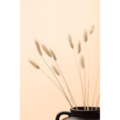 Bunny Grass Peach 01 Black Modern Wood Framed Art Print by 1x Studio III