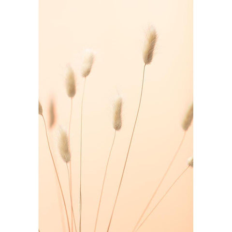 Bunny Grass Peach 02 Gold Ornate Wood Framed Art Print with Double Matting by 1x Studio III