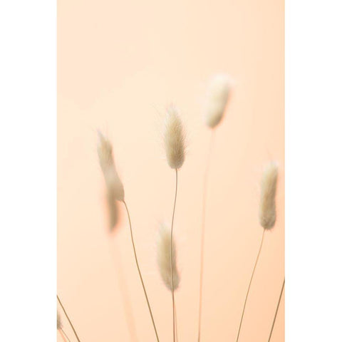 Bunny Grass Peach 04 Gold Ornate Wood Framed Art Print with Double Matting by 1x Studio III