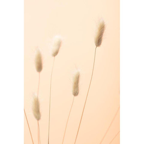 Bunny Grass Peach 05 Black Modern Wood Framed Art Print by 1x Studio III