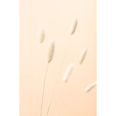 Bunny Grass Peach 07 Black Modern Wood Framed Art Print by 1x Studio III