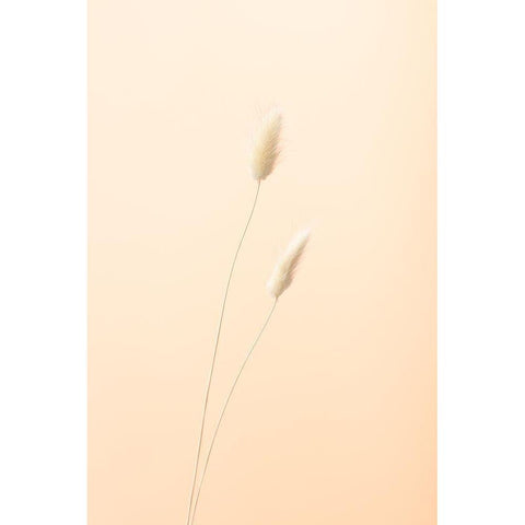 Bunny Grass Peach 08 Gold Ornate Wood Framed Art Print with Double Matting by 1x Studio III
