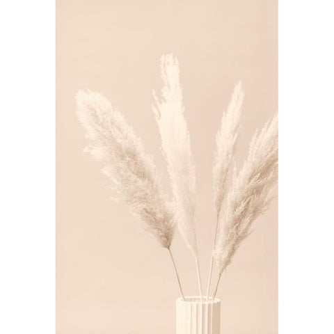 Pampas Grass Beige 05 Gold Ornate Wood Framed Art Print with Double Matting by 1x Studio III