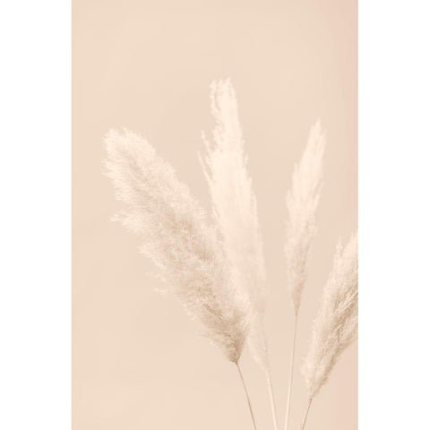 Pampas Grass Beige 06 Black Modern Wood Framed Art Print by 1x Studio III