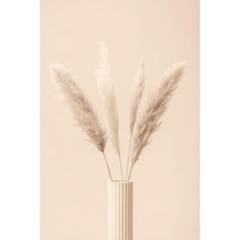 Pampas Grass Beige 09 White Modern Wood Framed Art Print by 1x Studio III