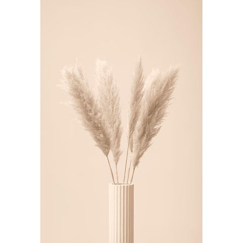 Pampas Grass Beige 11 Black Modern Wood Framed Art Print by 1x Studio III