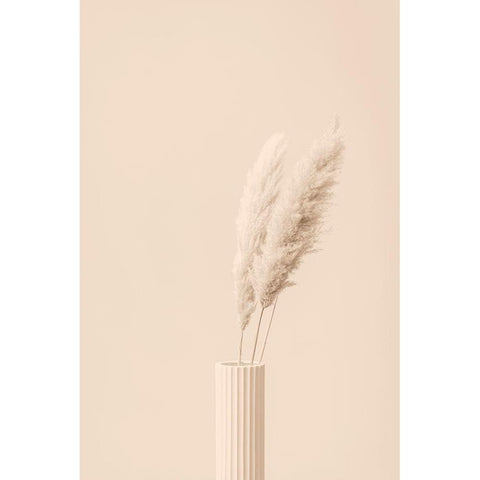 Pampas Grass Beige 12 White Modern Wood Framed Art Print by 1x Studio III