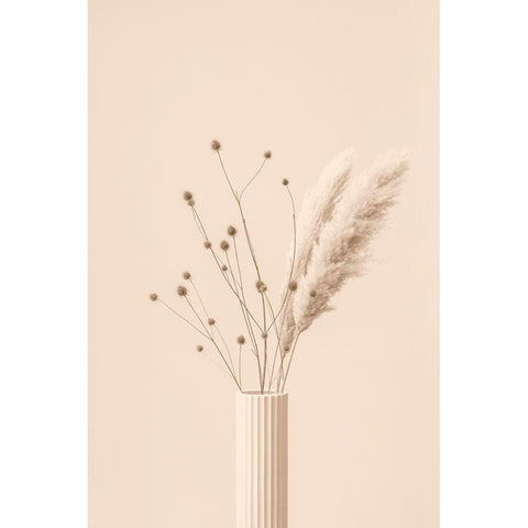 Thistle A Pampas Beige Black Modern Wood Framed Art Print with Double Matting by 1x Studio III