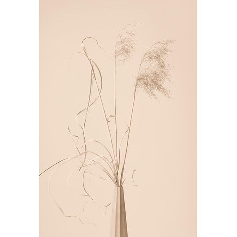 Dried Grass Vase Beige Black Modern Wood Framed Art Print with Double Matting by 1x Studio III