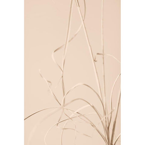 Dried Grass Beige 01 White Modern Wood Framed Art Print by 1x Studio III
