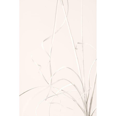 Dried Grass Light Beige Black Modern Wood Framed Art Print with Double Matting by 1x Studio III
