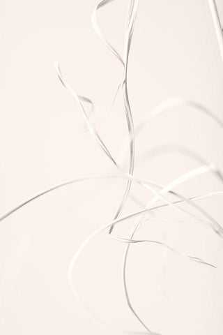 Dried Grass Light Beige 02 Black Ornate Wood Framed Art Print with Double Matting by 1x Studio III