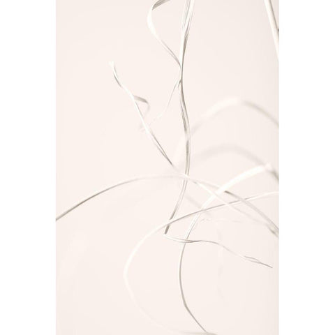 Dried Grass Light Beige 02 Black Modern Wood Framed Art Print by 1x Studio III