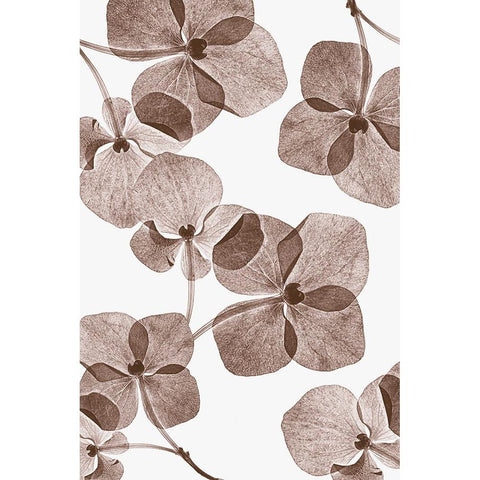 Botanical 4 White Modern Wood Framed Art Print by Lenka