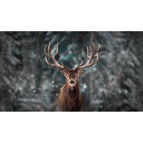 Deer King White Modern Wood Framed Art Print by Lee, Kim