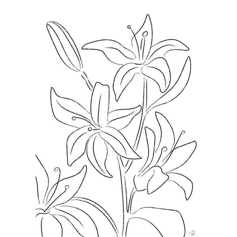 Lillies No 02 Black Modern Wood Framed Art Print by 1x Studio II