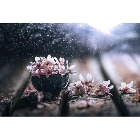 Spring In A Teacup Black Modern Wood Framed Art Print by Pu, Can