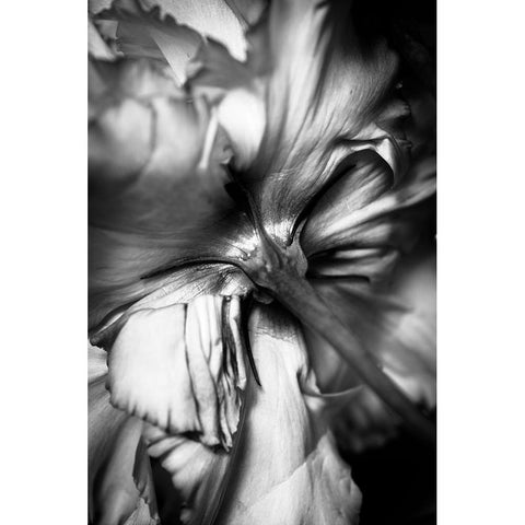 Flower White Modern Wood Framed Art Print by Stella, CYAN