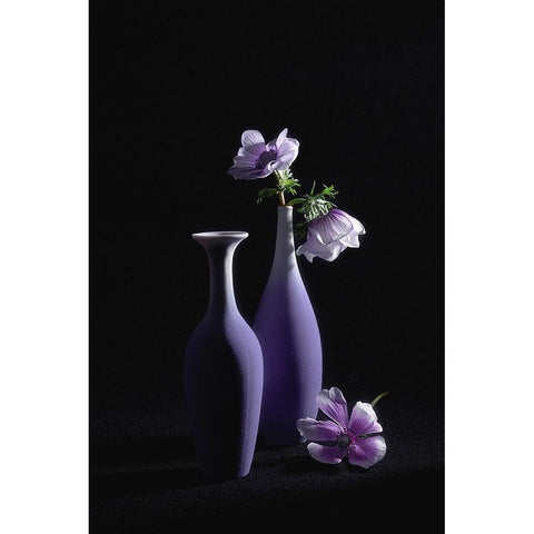 Pretty Violet Theme White Modern Wood Framed Art Print by Jacobs, Lydia