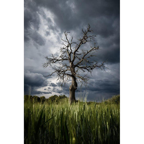 Stormy Weather Black Modern Wood Framed Art Print with Double Matting by Anton, Rostovskiy