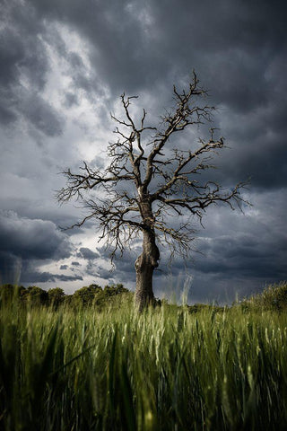 Stormy Weather White Modern Wood Framed Art Print with Double Matting by Anton, Rostovskiy