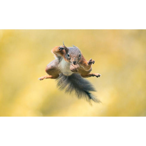 Ninja Style Black Modern Wood Framed Art Print by Colemont, Niki