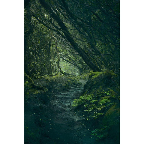 Entering Fangorn Gold Ornate Wood Framed Art Print with Double Matting by De La, Javier