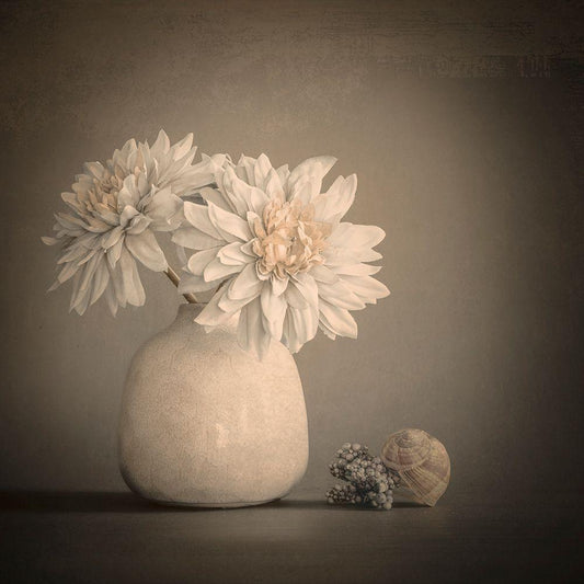 Image Only