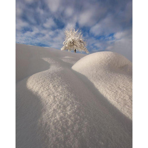 Curves Of A Winter Landscape Gold Ornate Wood Framed Art Print with Double Matting by Krivec, Ales