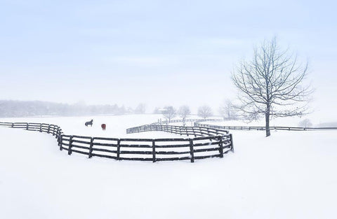 Winter Farm Black Ornate Wood Framed Art Print with Double Matting by Deng, Larry