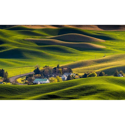 Houses In The Farm Land Gold Ornate Wood Framed Art Print with Double Matting by Tan, Eileen