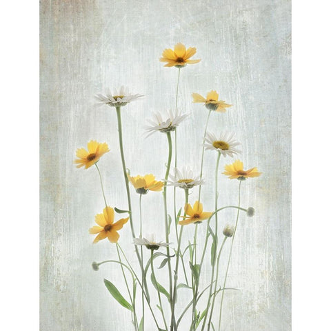 Summer Flowers Gold Ornate Wood Framed Art Print with Double Matting by L., Binbin