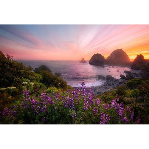 Sister Rocks With Lupin Blooms Black Modern Wood Framed Art Print with Double Matting by Q. Wu, Chong