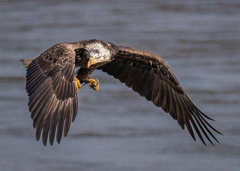 Terror Eyes White Modern Wood Framed Art Print with Double Matting by J. Chen, John