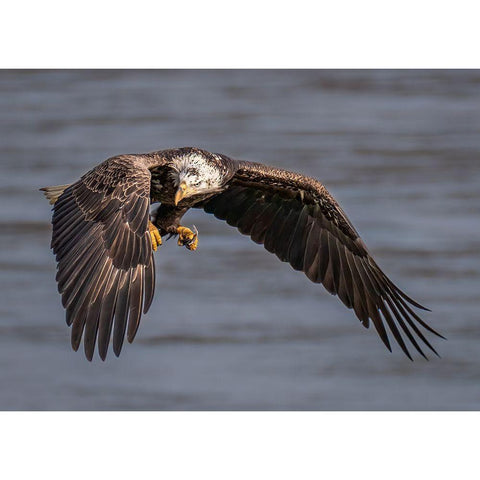 Terror Eyes Black Modern Wood Framed Art Print by J. Chen, John